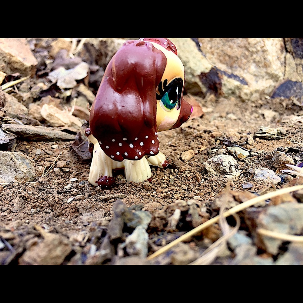 Lps Custom Cocker Spaniel - Picture 4 of 5